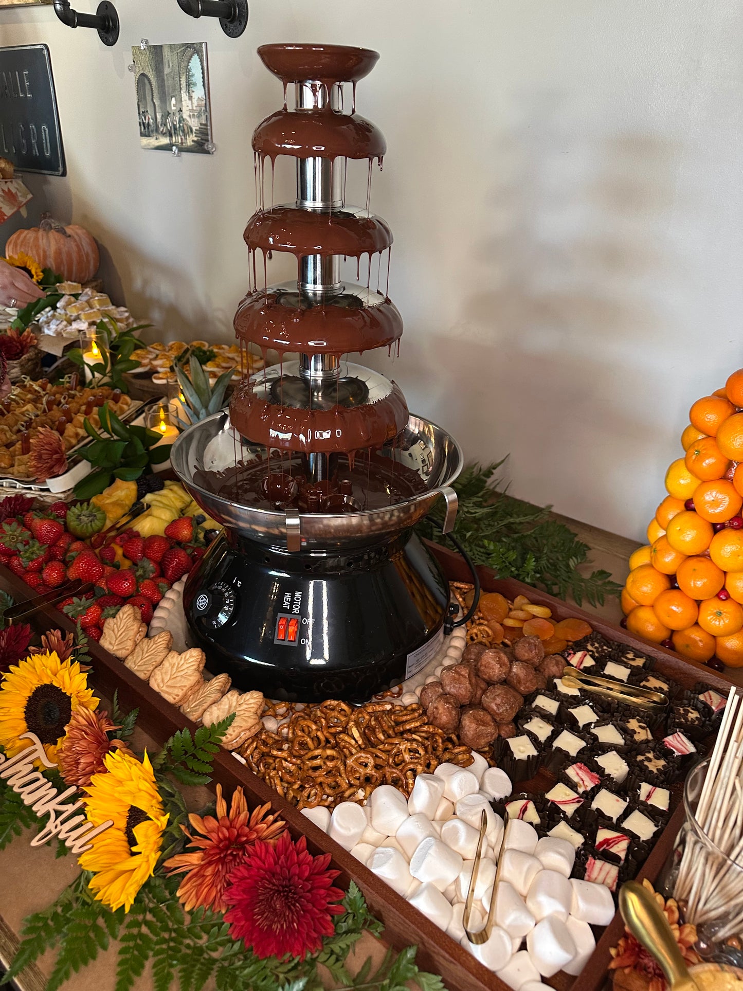 Rent- Chocolate or Cheese Fondue Fountain