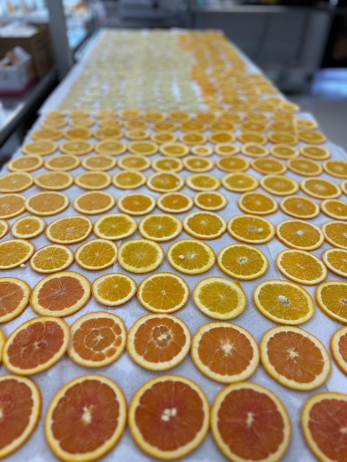 Edible Enhancements- BozaBoards Signature Cocktail Dried Fruit Toppers